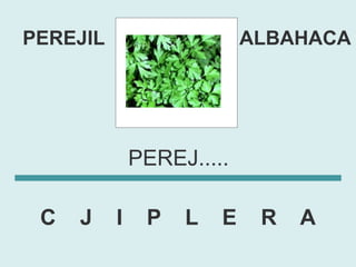 PEREJIL                    ALBAHACA




              PEREJ.....

 C   J    I    P   L   E    R   A
 