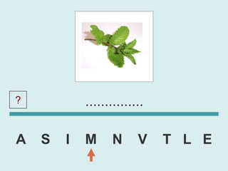 ?           ...............

A   S   I   M     N      V    T L E
 