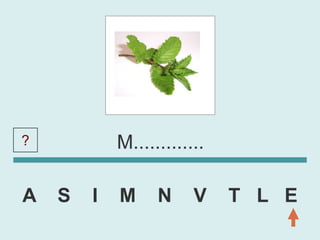 ?           M.............

A   S   I   M     N     V    T L E
 