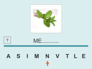 ?           ME...........

A   S   I   M     N    V    T L E
 