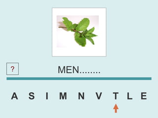 ?           MEN........

A   S   I   M    N   V    T L E
 