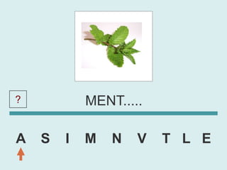 ?           MENT.....

A   S   I   M   N   V   T L E
 