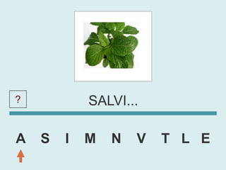 ?           SALVI...

A   S   I   M   N   V   T L E
 