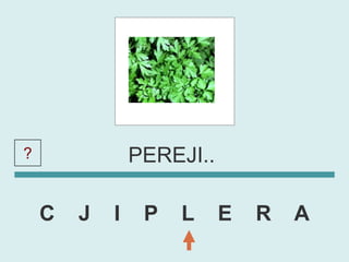 ?               PEREJI..

    C   J   I    P   L     E   R   A
 