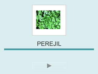 PEREJIL
 