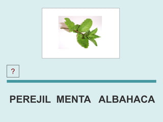 ?       MENTA

PEREJIL MENTA ALBAHACA
 