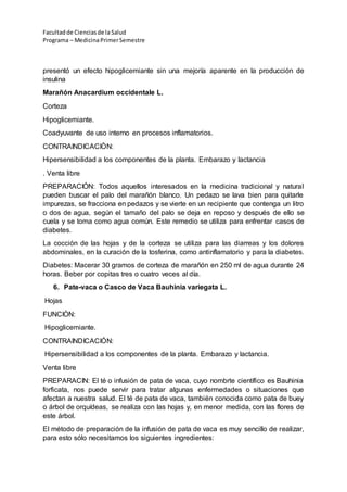Facultadde Cienciasde la Salud
Programa – MedicinaPrimerSemestre
presentó un efecto hipoglicemiante sin una mejoría aparente en la producción de
insulina
Marañón Anacardium occidentale L.
Corteza
Hipoglicemiante.
Coadyuvante de uso interno en procesos inflamatorios.
CONTRAINDICACIÒN:
Hipersensibilidad a los componentes de la planta. Embarazo y lactancia
. Venta libre
PREPARACIÓN: Todos aquellos interesados en la medicina tradicional y natural
pueden buscar el palo del marañón blanco. Un pedazo se lava bien para quitarle
impurezas, se fracciona en pedazos y se vierte en un recipiente que contenga un litro
o dos de agua, según el tamaño del palo se deja en reposo y después de ello se
cuela y se toma como agua común. Este remedio se utiliza para enfrentar casos de
diabetes.
La cocción de las hojas y de la corteza se utiliza para las diarreas y los dolores
abdominales, en la curación de la tosferina, como antinflamatorio y para la diabetes.
Diabetes: Macerar 30 gramos de corteza de marañón en 250 ml de agua durante 24
horas. Beber por copitas tres o cuatro veces al día.
6. Pate-vaca o Casco de Vaca Bauhinia variegata L.
Hojas
FUNCIÒN:
Hipoglicemiante.
CONTRAINDICACIÓN:
Hipersensibilidad a los componentes de la planta. Embarazo y lactancia.
Venta libre
PREPARACIN: El té o infusión de pata de vaca, cuyo nombrte científico es Bauhinia
forficata, nos puede servir para tratar algunas enfermedades o situaciones que
afectan a nuestra salud. El té de pata de vaca, también conocida como pata de buey
o árbol de orquídeas, se realiza con las hojas y, en menor medida, con las flores de
este árbol.
El método de preparación de la infusión de pata de vaca es muy sencillo de realizar,
para esto sólo necesitamos los siguientes ingredientes:
 