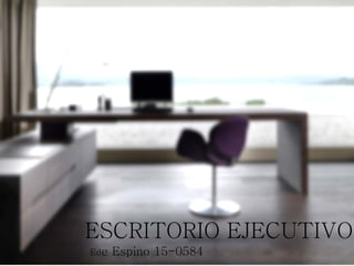 ESCRITORIO EJECUTIVO
Ede Espino 15-0584
 