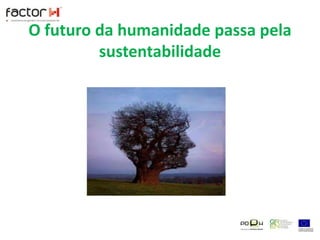 Utilizar equipamentos de baixo consumo e com modos de poupança de energia quando não utilizados. 