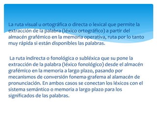 La ruta visual u ortográfica o directa o lexical que permite la 
extracción de la palabra (léxico ortográfico) a partir del 
almacén grafémico en la memoria operativa, ruta por lo tanto 
muy rápida si están disponibles las palabras. 
La ruta indirecta o fonológica o subléxica que su pone la 
extracción de la palabra (léxico fonológico) desde el almacén 
grafémico en la memoria a largo plazo, pasando por 
mecanismos de conversión fonema-grafema al alamacén de 
pronunciación. En ambos casos se conectan los léxicos con el 
sistema semántico o memoria a largo plazo para los 
significados de las palabras. 
 