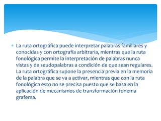  La ruta ortográfica puede interpretar palabras familiares y 
conocidas y con ortografía arbitraria, mientras que la ruta 
fonológica permite la interpretación de palabras nunca 
vistas y de seudopalabras a condición de que sean regulares. 
La ruta ortográfica supone la presencia previa en la memoria 
de la palabra que se va a activar, mientras que con la ruta 
fonológica esto no se precisa puesto que se basa en la 
aplicación de mecanismos de transformación fonema 
grafema. 
 