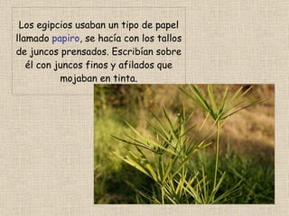 Los egipcios usaban un tipo de papel llamado papiro , se hacía con los tallos de juncos prensados. Escribían sobre él con juncos finos y afilados que mojaban en tinta.