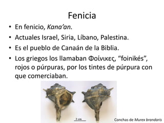 Fenicia
• En fenicio, Kana’an.
• Actuales Israel, Siria, Líbano, Palestina.
• Es el pueblo de Canaán de la Biblia.
• Los griegos los llamaban Φοίνικες, “foinikés”,
rojos o púrpuras, por los tintes de púrpura con
que comerciaban.
Conchas de Murex brandaris
 