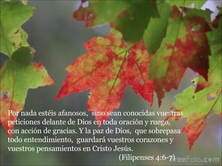 Por nada estéis afanosos,  sino sean conocidas vuestras peticiones delante de Dios en toda oración y ruego,  con acción de gracias. Y la paz de Dios,  que sobrepasa todo entendimiento,  guardará vuestros corazones y vuestros pensamientos en Cristo Jesús.  (Filipenses 4:6-7) 