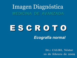 Imagen Diagnóstica MEDICINA  DE  AVANZADA E S C R O T O Ecografía normal Dr.:  CALIRI,  Néstor 10  de  febrero  de  2009 