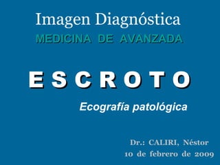 Imagen Diagnóstica MEDICINA  DE  AVANZADA E S C R O T O Ecografía patológica Dr.:  CALIRI,  Néstor 10  de  febrero  de  2009 