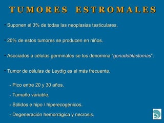 T U M O R E S  E S T R O M A L E S Suponen el 3% de todas las neoplasias testiculares. 20% de estos tumores se producen en niños. Asociados a células germinales se los denomina “ gonadoblastomas ”. Tumor de células de Leydig es el más frecuente. - Pico entre 20 y 30 años. - Tamaño variable. - Sólidos e hipo / hiperecogénicos. - Degeneración hemorrágica y necrosis. 