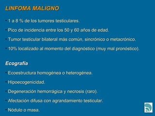 LINFOMA MALIGNO 1 a 8 % de los tumores testiculares. Pico de incidencia entre los 50 y 60 años de edad. Tumor testicular bilateral más común, sincrónico o metacrónico. 10% localizado al momento del diagnóstico (muy mal pronóstico). Ecografía Ecoestructura homogénea o heterogénea. Hipoecogenicidad. Degeneración hemorrágica y necrosis (raro). Afectación difusa con agrandamiento testicular. Nódulo o masa. 