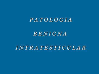P A T O L O G I A B E N I G N A  I N T R A T E S T I C U L A R 