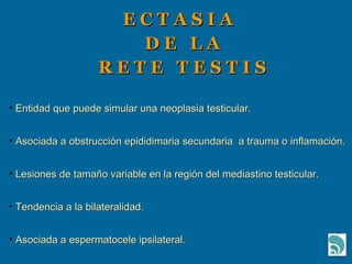 E C T A S I A  D E  L A R E T E  T E S T I S Entidad que puede simular una neoplasia testicular. Asociada a obstrucción epididimaria secundaria  a trauma o inflamación. Lesiones de tamaño variable en la región del mediastino testicular. Tendencia a la bilateralidad. Asociada a espermatocele ipsilateral. 