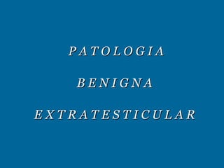 P A T O L O G I A B E N I G N A  E X T R A T E S T I C U L A R  