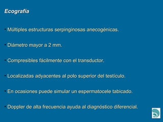Ecografía Múltiples estructuras serpinginosas anecogénicas. Diámetro mayor a 2 mm. Compresibles fácilmente con el transductor. Localizadas adyacentes al polo superior del testículo. En ocasiones puede simular un espermatocele tabicado. Doppler de alta frecuencia ayuda al diagnóstico diferencial. 
