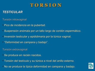 T O R S I O N TESTICULAR Torsión intravaginal Pico de incidencia en la pubertad. Suspensión anómala por un tallo largo de cordón espermático. Inversión testicular y epididimaria por la túnica vaginal. “ Deformidad en campana y badajo”. Torsión extravaginal Se produce en recién nacidos. Torsión del testículo y su túnica a nivel del anillo externo. No se produce la típica deformidad en campana y badajo. 