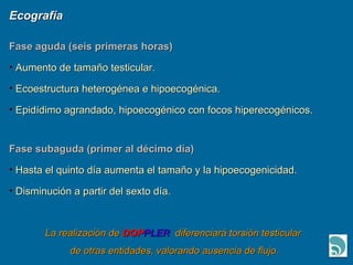 Ecografía Fase aguda (seis primeras horas) Aumento de tamaño testicular. Ecoestructura heterogénea e hipoecogénica. Epidídimo agrandado, hipoecogénico con focos hiperecogénicos. Fase subaguda (primer al décimo día) Hasta el quinto día aumenta el tamaño y la hipoecogenicidad. Disminución a partir del sexto día. La realización de  DOP PLER   diferenciará torsión testicular  de otras entidades, valorando ausencia de flujo. 