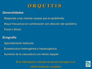 O R Q U I T I S Generalidades Responde a las mismas causas que la epididimitis. Mayor frecuencia en combinación con afección del epidídimo. Focal o difusa. Ecografía Agrandamiento testicular. Ecoestructura heterogénea e hipoecogénica. Aumento de la vasculatura con efecto doppler. Si la interrupción vascular es severa da lugar a un  infarto testicular completo. 