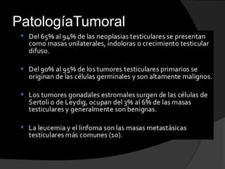 PatologíaTumoral
 