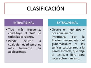 CLASIFICACIÓN

     INTRAVAGINAL                EXTRAVAGINAL

• Tipo más frecuente,       • Ocurre en neonatos y
  constituye el 94% de        ocasionalmente
  todas las torsiones.        intraútero,     por    la
• Puede       ocurrir   a     fijación incompleta del
  cualquier edad pero es      gubernáculum y las
  más     frecuente    en     túnicas testiculares a la
  adolescentes.               pared escrotal, que deja
                              al testículo libre para
                              rotar sobre sí mismo.
 