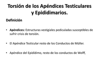 Torsión de los Apéndices Testiculares
           y Epididimarios.
Definición

• Apéndices: Estructuras vestigiales pediculadas susceptibles de
  sufrir crisis de torsión.

• El Apéndice Testicular resto de los Conductos de Müller.

• Apéndice del Epidídimo, resto de los conductos de Wolff,
 