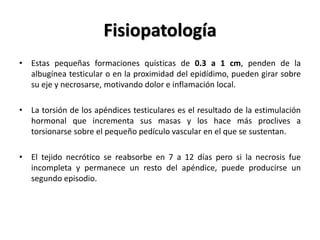 Fisiopatología
• Estas pequeñas formaciones quísticas de 0.3 a 1 cm, penden de la
  albugínea testicular o en la proximidad del epidídimo, pueden girar sobre
  su eje y necrosarse, motivando dolor e inflamación local.

• La torsión de los apéndices testiculares es el resultado de la estimulación
  hormonal que incrementa sus masas y los hace más proclives a
  torsionarse sobre el pequeño pedículo vascular en el que se sustentan.

• El tejido necrótico se reabsorbe en 7 a 12 días pero si la necrosis fue
  incompleta y permanece un resto del apéndice, puede producirse un
  segundo episodio.
 