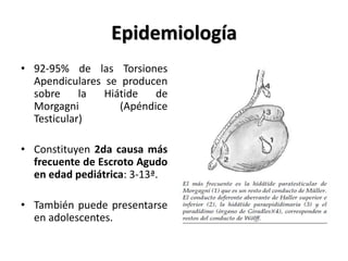 Epidemiología
• 92-95% de las Torsiones
  Apendiculares se producen
  sobre     la  Hiátide   de
  Morgagni         (Apéndice
  Testicular)

• Constituyen 2da causa más
  frecuente de Escroto Agudo
  en edad pediátrica: 3-13ª.

• También puede presentarse
  en adolescentes.
 