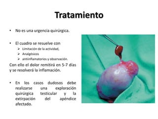 Tratamiento
• No es una urgencia quirúrgica.

• El cuadro se resuelve con
     Limitación de la actividad,
     Analgésicos
     antiinflamatorios y observación.
Con ello el dolor remitirá en 5-7 días
y se resolverá la inflamación.

• En los casos dudosos debe
  realizarse  una      exploración
  quirúrgica  testicular    y    la
  extirpación    del     apéndice
  afectado.
 