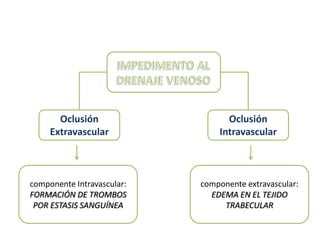 Oclusión                   Oclusión
     Extravascular              Intravascular



componente Intravascular:   componente extravascular:
FORMACIÓN DE TROMBOS          EDEMA EN EL TEJIDO
 POR ESTASIS SANGUÍNEA           TRABECULAR
 