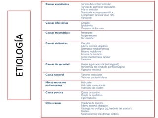 ETIOLOGÍA
 