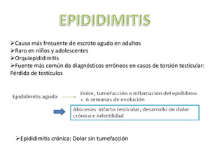 Causa más frecuente de escroto agudo en adultos
Raro en niños y adolescentes
Orquiepididimitis
Fuente más común de diagnósticos erróneos en casos de torsión testicular:
Pérdida de testículos




  Epididimitis crónica: Dolor sin tumefacción
 