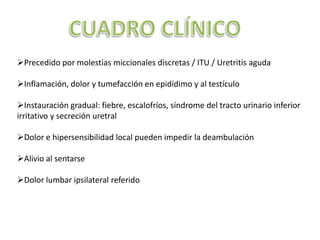 Precedido por molestias miccionales discretas / ITU / Uretritis aguda

Inflamación, dolor y tumefacción en epidídimo y al testículo

Instauración gradual: fiebre, escalofríos, síndrome del tracto urinario inferior
irritativo y secreción uretral

Dolor e hipersensibilidad local pueden impedir la deambulación

Alivio al sentarse

Dolor lumbar ipsilateral referido
 