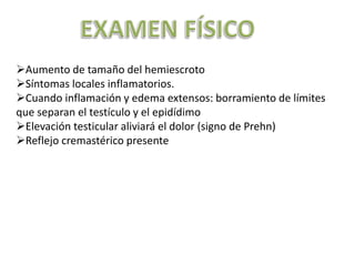 Aumento de tamaño del hemiescroto
Síntomas locales inflamatorios.
Cuando inflamación y edema extensos: borramiento de límites
que separan el testículo y el epidídimo
Elevación testicular aliviará el dolor (signo de Prehn)
Reflejo cremastérico presente
 