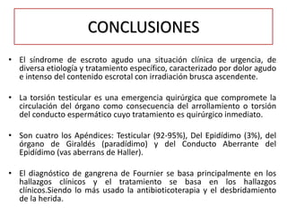 CONCLUSIONES
• El síndrome de escroto agudo una situación clínica de urgencia, de
  diversa etiología y tratamiento específico, caracterizado por dolor agudo
  e intenso del contenido escrotal con irradiación brusca ascendente.

• La torsión testicular es una emergencia quirúrgica que compromete la
  circulación del órgano como consecuencia del arrollamiento o torsión
  del conducto espermático cuyo tratamiento es quirúrgico inmediato.

• Son cuatro los Apéndices: Testicular (92-95%), Del Epidídimo (3%), del
  órgano de Giraldés (paradídimo) y del Conducto Aberrante del
  Epidídimo (vas aberrans de Haller).

• El diagnóstico de gangrena de Fournier se basa principalmente en los
  hallazgos clínicos y el tratamiento se basa en los hallazgos
  clínicos.Siendo lo más usado la antibioticoterapia y el desbridamiento
  de la herida.
 