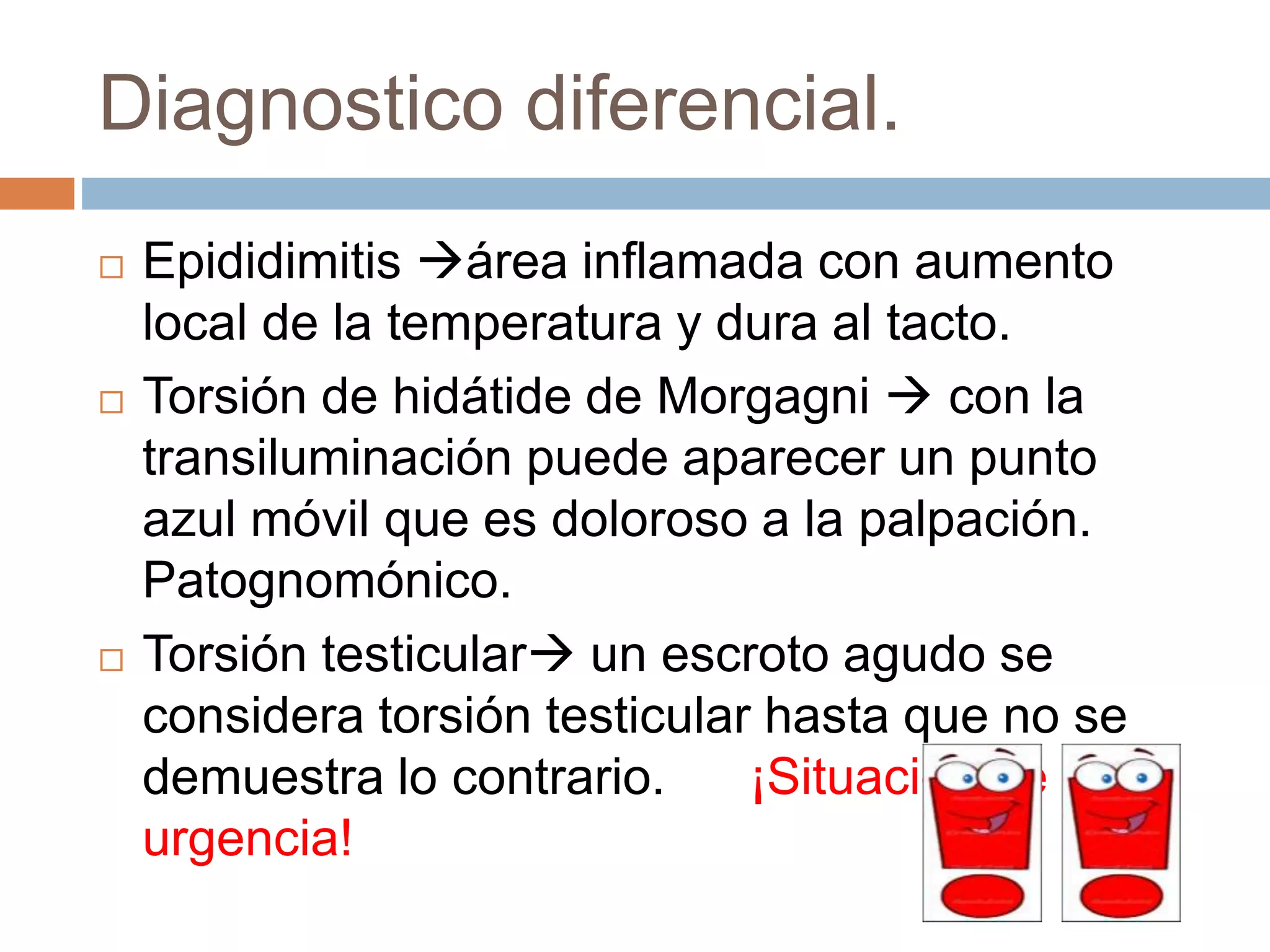 escroto-agudo-pptx-diseases-and-conditions-medical-health