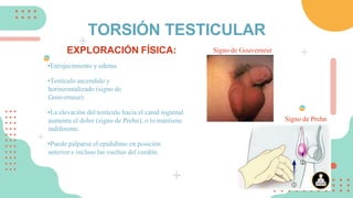 EXPLORACIÓN FÍSICA:
•Enrojecimiento y edema.
•Testículo ascendido y
horinzontalizado (signo de
Gouverneur)
•La elevación del testículo hacia el canal inguinal
aumenta el dolor (signo de Prehn), o lo mantiene
indiferente.
•Puede palparse el epidídimo en posición
anterior e incluso las vueltas del cordón.
TORSIÓN TESTICULAR
Signo de Gouverneur
Signo de Prehn
 