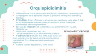 Orquiepididimitis
• Inflamación que puede comprometer el epidídimo o el testículo y sus estructuras.
• Aunque puede ser el epidídimo solo por lo general es en conjunto, epidídimo y
testículo.
• ETIOLOGIA: Origen infeccioso es el mas común; en niños se suele aislar E. Coli;
en adolescentes gérmenes asociados a transmisión sexual; Chlamydia
trachomatis y Neisseria gonorrhoae.
• Las vías de infección son: Vía hematógena: gérmenes Gram (-) E. coli,
Klebsiella etc.
• Origen viral, parotiditis es muy raro.
• En los adolescentes la vía es ascendente; la sexual.
• Cuadro clínico: Evolución más lenta, suele cursar con
fiebre y compromiso del estado general, edema eritema
y sensibilidad. El cordón espermático puede estar
engrosado.
• Siempre se debe descartar ITU como causa.
 