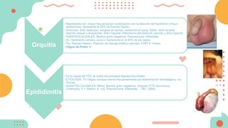 Orquitis
• Representa con mayor frecuencia en combinación con la afección del Epidídimo (Orqui–
epididimitis), representa el 25% de Escroto Agudo.
• Síntomas: dolor testicular, sangrad en semen, secreción en pene, fiebre, dolor al tener
relación sexual o al eyacular, dolor inguinal, inflamación del testículo, escroto y área inguinal
• AGENTESCAUSALES: Bacilos gram negativos, Pseudomona, Klebsiella.
• Dx: Sedimento urinario, piuria o bacteriuria en el 60% de los casos.
• Tto: Reposo relativo. Posición de drenaje linfático escrotal. ATBT X 14días.
• (Signo de Prehn +)
Epididimitis
• Es la causa del 75% de todos los procesos Agudos Escrotales.
• ETIOLOGÍA: ITU Bajas; aunque menos frecuentemente por diseminación hematógena, vía
Sexual.
• AGENTES CAUSALES: Niños: Bacilos gram negativos. Jóvenes: ETS (Gonococo,
Chlamydia. Y > 35años: E. coli, Pseudomona, Klebsiella… TBC, Sífilis.
 