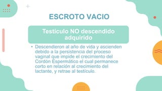 ESCROTO VACIO
Testículo NO descendido
adquirido
• Descendieron al año de vida y ascienden
debido a la persistencia del proceso
vaginal que impide el crecimiento del
Cordón Espermático el cual permanece
corto en relación al crecimiento del
lactante, y retrae al testículo.
 
