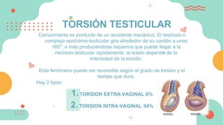 TORSIÓN TESTICULAR
Comúnmente es producto de un accidente mecánico: El testículo o
complejo epidídimo-testicular gira alrededor de su cordón a unos
180°; o más produciéndose isquemia que puede llegar a la
necrosis testicular rápidamente; la lesión depende de la
intensidad de la torsión.
Este fenómeno puede ser reversible según el grado de torsión y el
tiempo que dure.
Hay 2 tipos:
1.TORSION EXTRA-VAGINAL 6%
2.TORSION INTRA-VAGINAL 94%
 