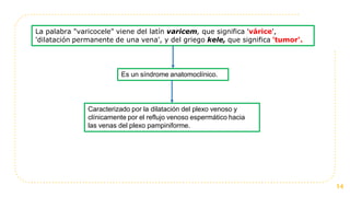La palabra "varicocele" viene del latín varicem, que significa 'várice',
'dilatación permanente de una vena', y del griego kele, que significa 'tumor‘.
Es un síndrome anatomoclínico.
Caracterizado por la dilatación del plexo venoso y
clínicamente por el reflujo venoso espermático hacia
las venas del plexo pampiniforme.
14
 