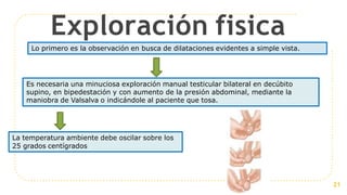 Exploración fisica
Lo primero es la observación en busca de dilataciones evidentes a simple vista.
Es necesaria una minuciosa exploración manual testicular bilateral en decúbito
supino, en bipedestación y con aumento de la presión abdominal, mediante la
maniobra de Valsalva o indicándole al paciente que tosa.
La temperatura ambiente debe oscilar sobre los
25 grados centígrados
21
 