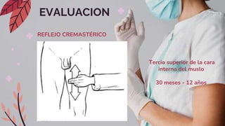 EVALUACION
REFLEJO CREMASTÉRICO
Tercio superior de la cara
interna del muslo
30 meses - 12 años
 